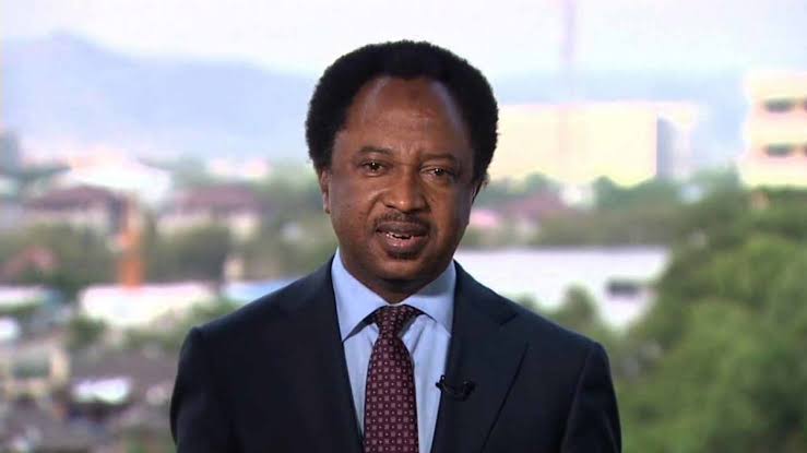 Shehu Sani Wants Nigerians to Distrust 16 Kinds of Political Promise. He Is Also a Candidate Asking for Their Votes.
